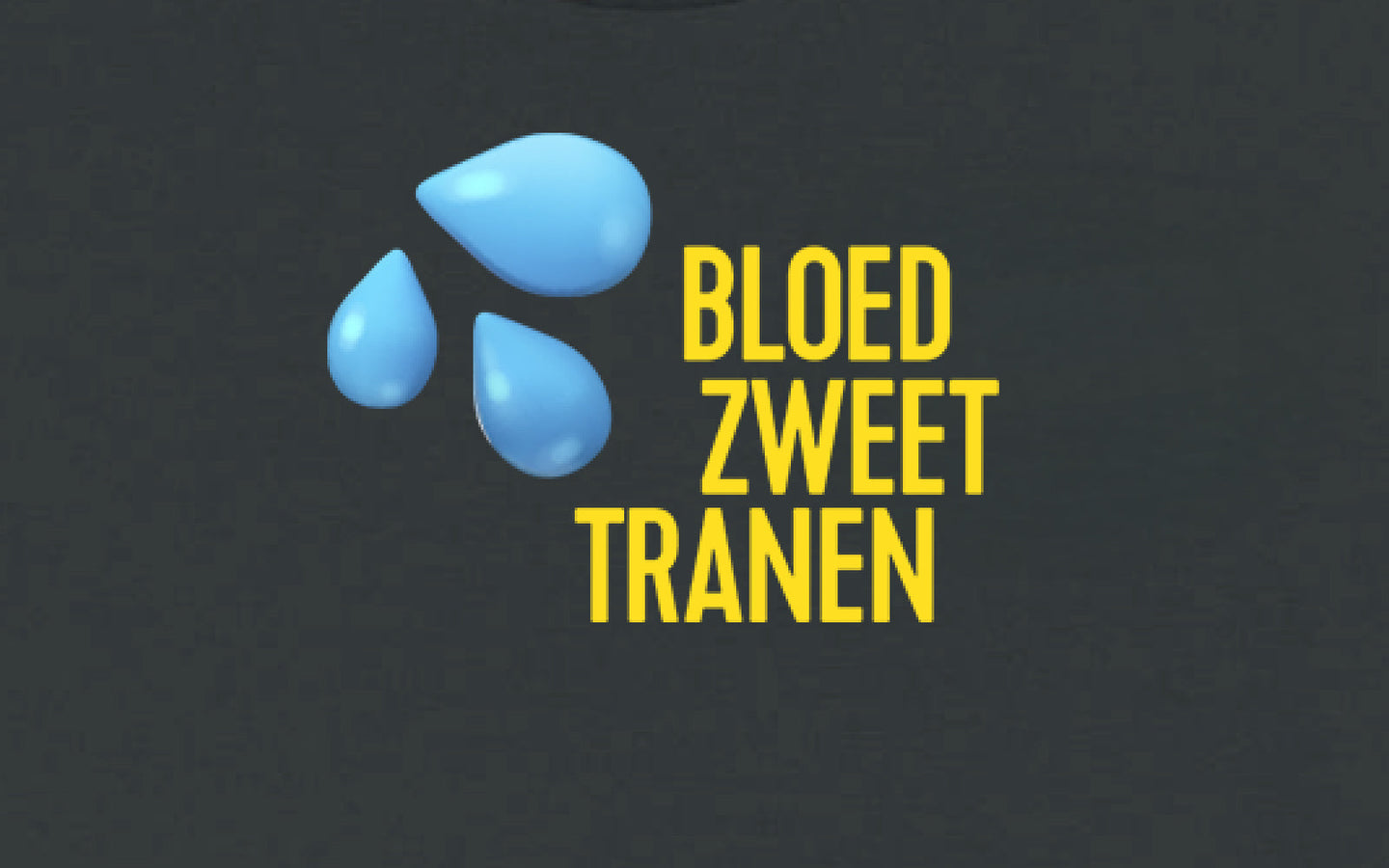 T-shirt 'Bloed, zweet en tranen' - afbeelding 2