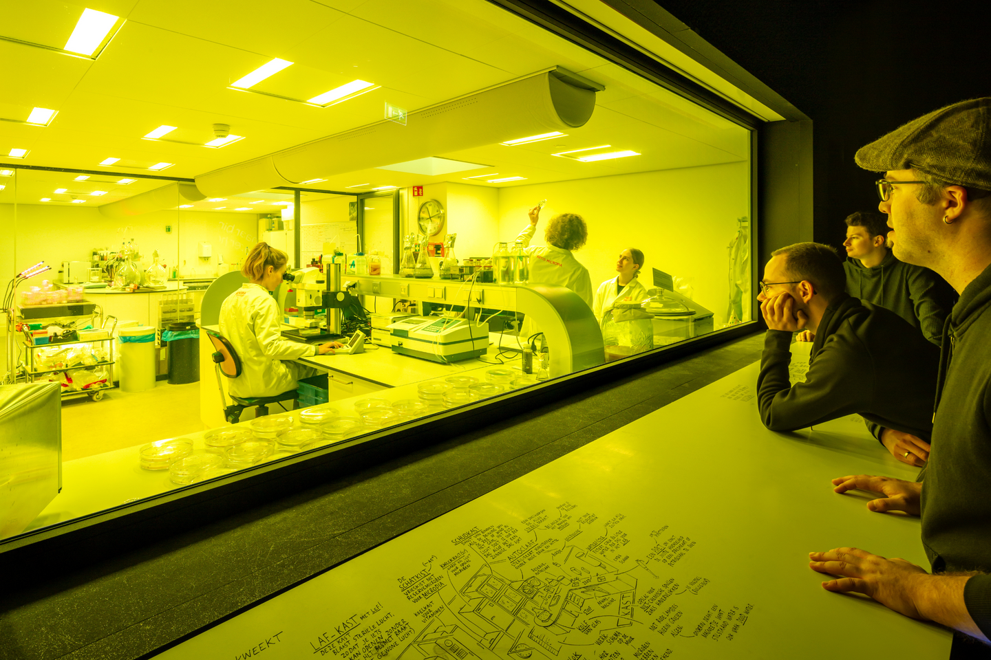 Combiticket ARTIS-Park & ARTIS-Micropia - afbeelding 18