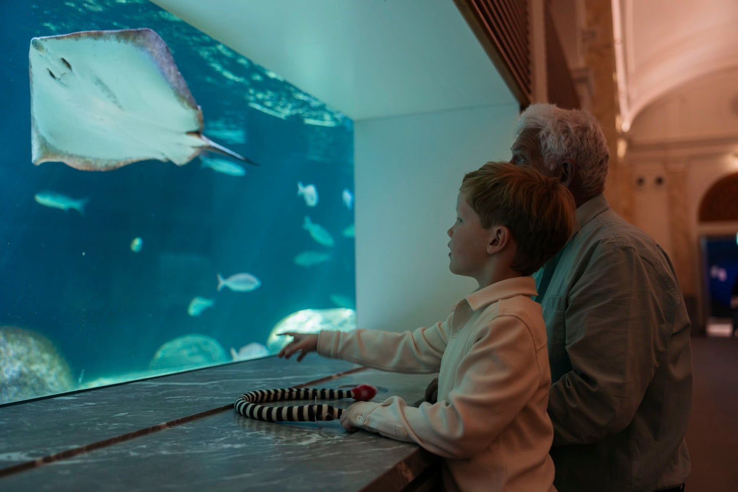 ARTIS-Park tickets met korting - afbeelding 5
